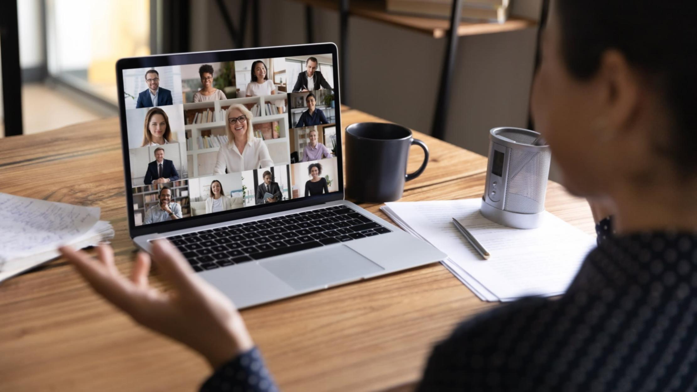 Protection de la faune sauvage — contacter l'équipe Glimoveron