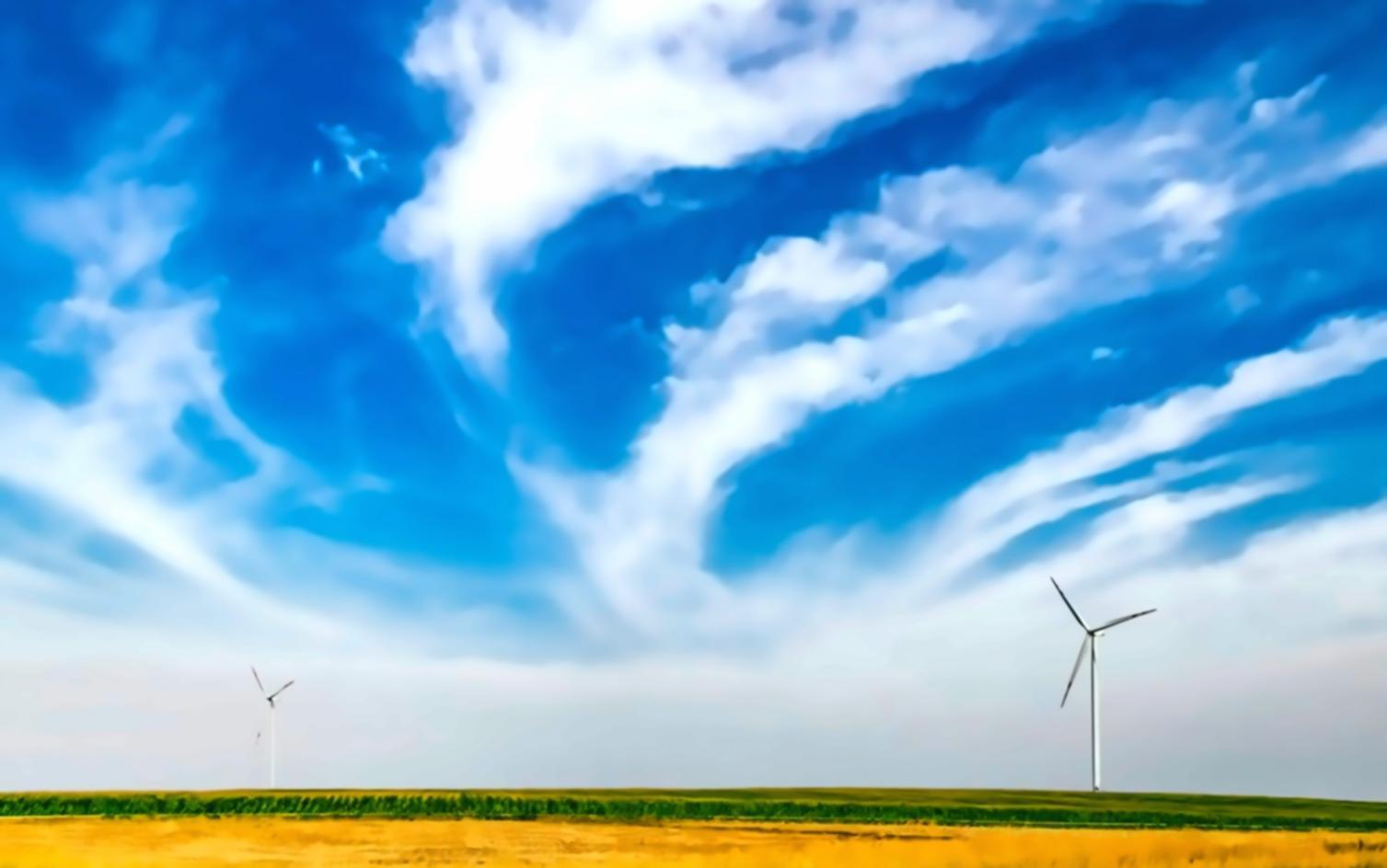 Protection de la faune sauvage — cours en ligne