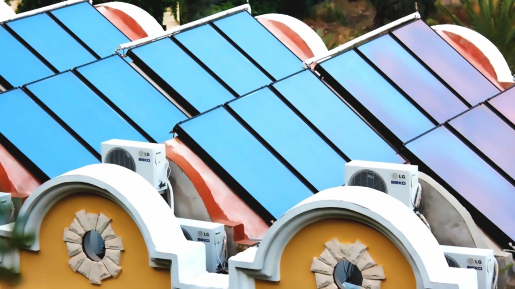 Étudiant apprenant la conservation de la faune en ligne